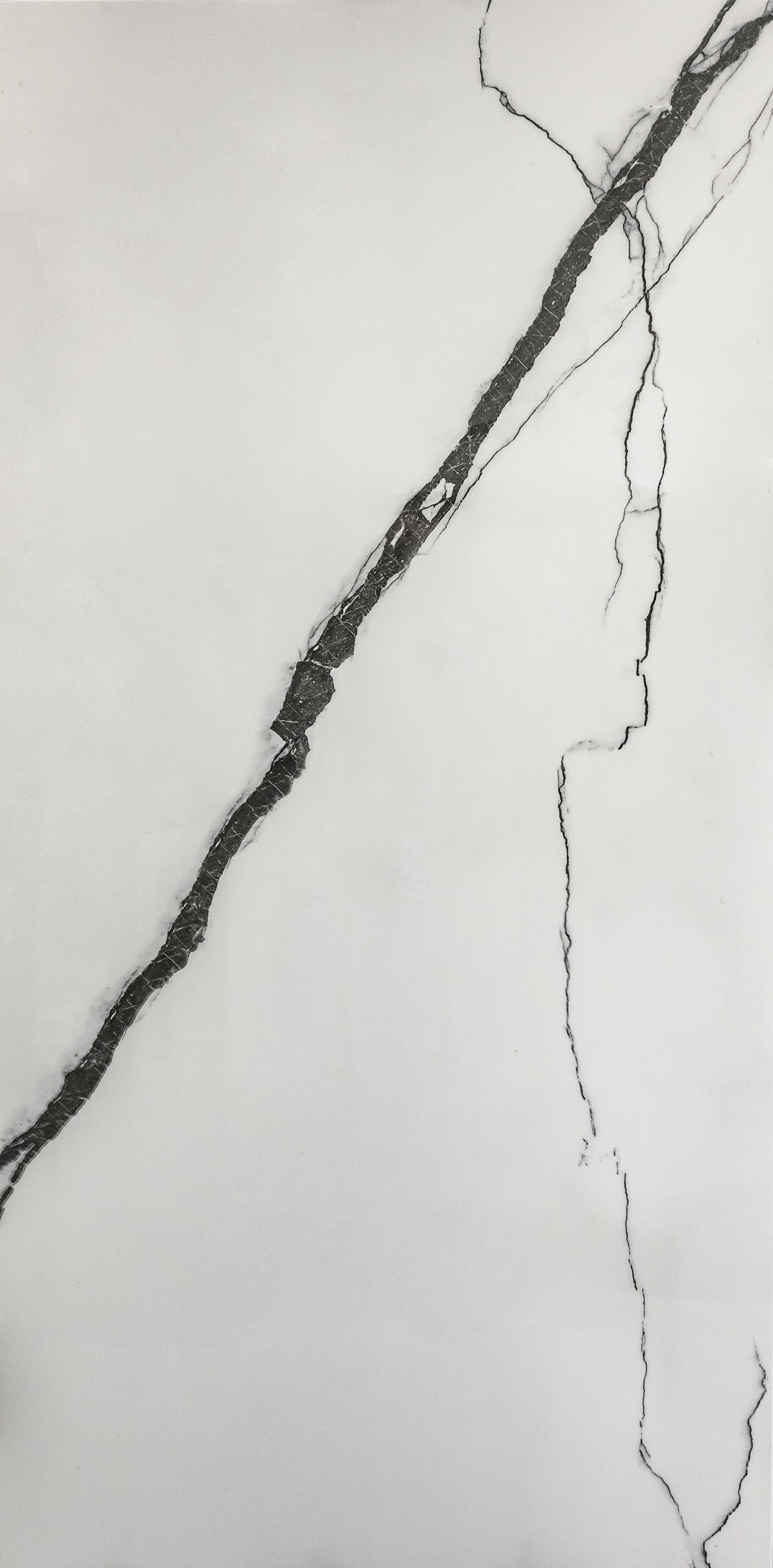 Varmora : Vibrant Bianco Polished 24x48 (15.5SF)