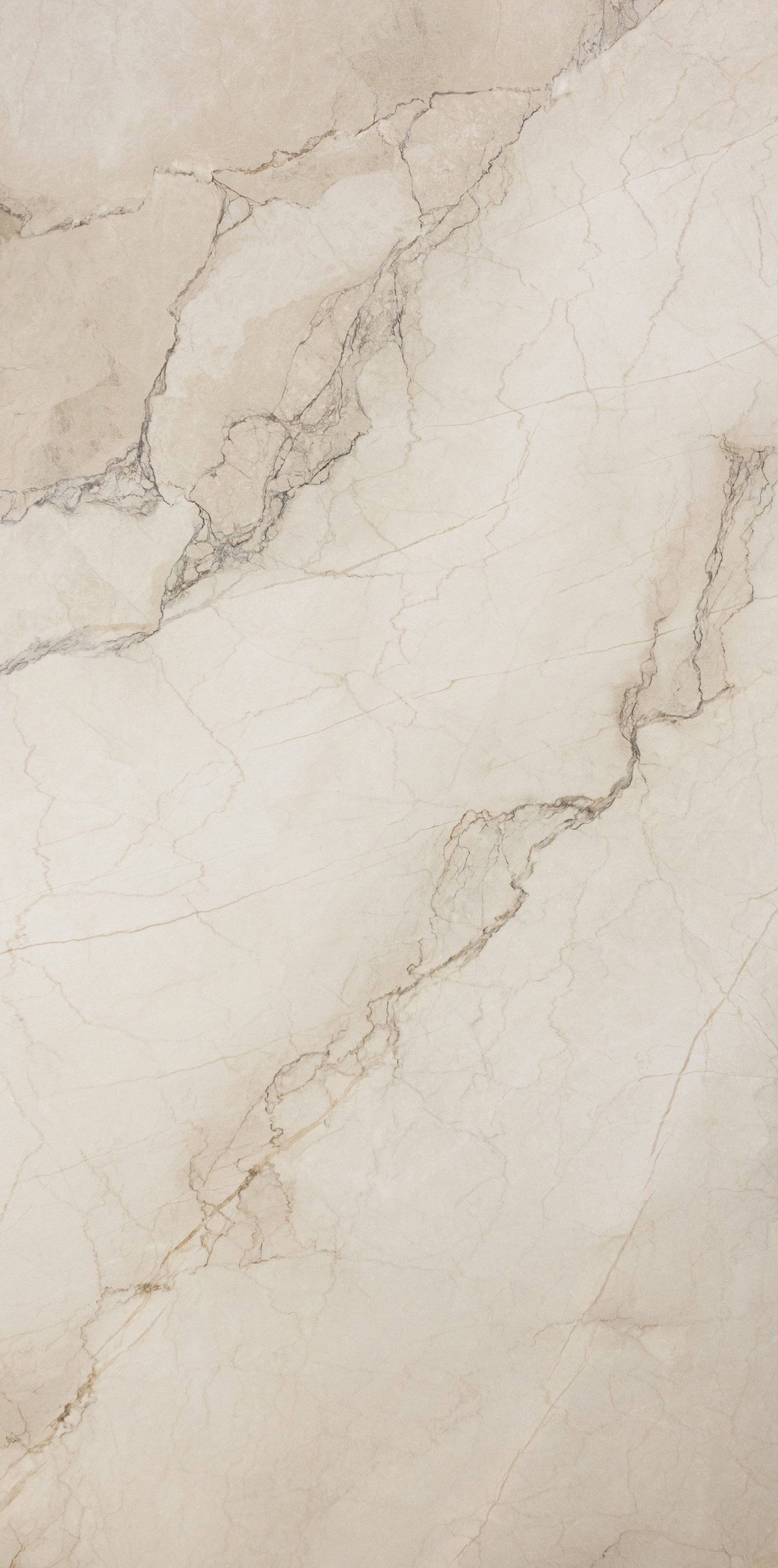 La Fabbrica : Bolgheri : Beige Stone Matte 24x48 (15.5SF)