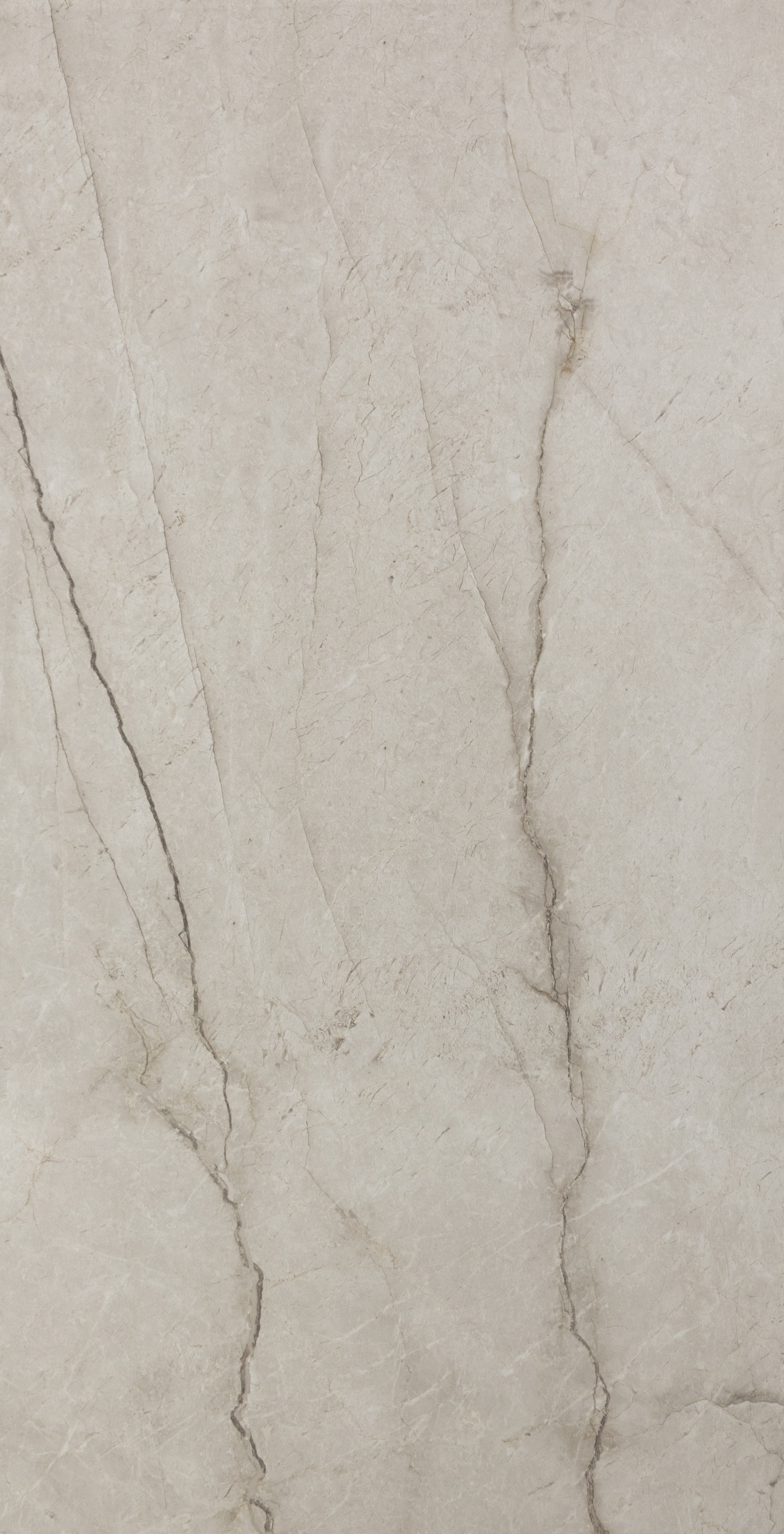 TIEIC : Roots Bianco Polished 24x48 (15.5SF)