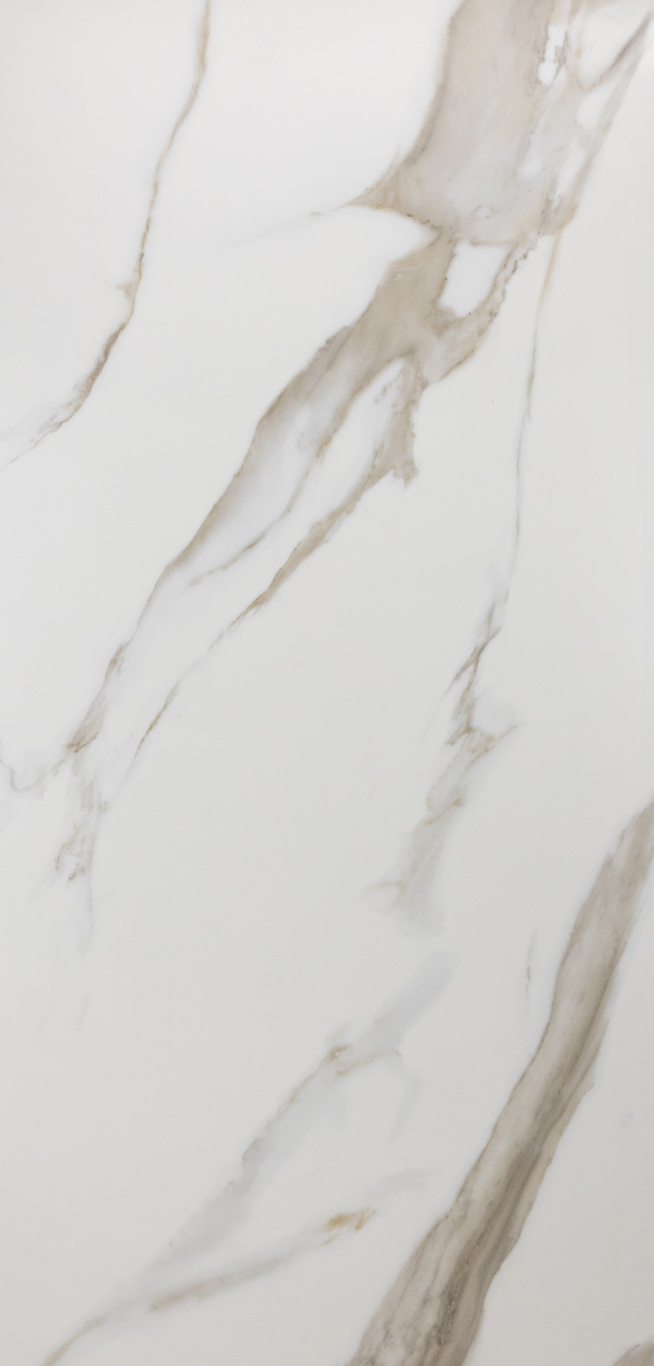 Pamesa : Calacata Gold Rect. 24x48 (15.5SF)