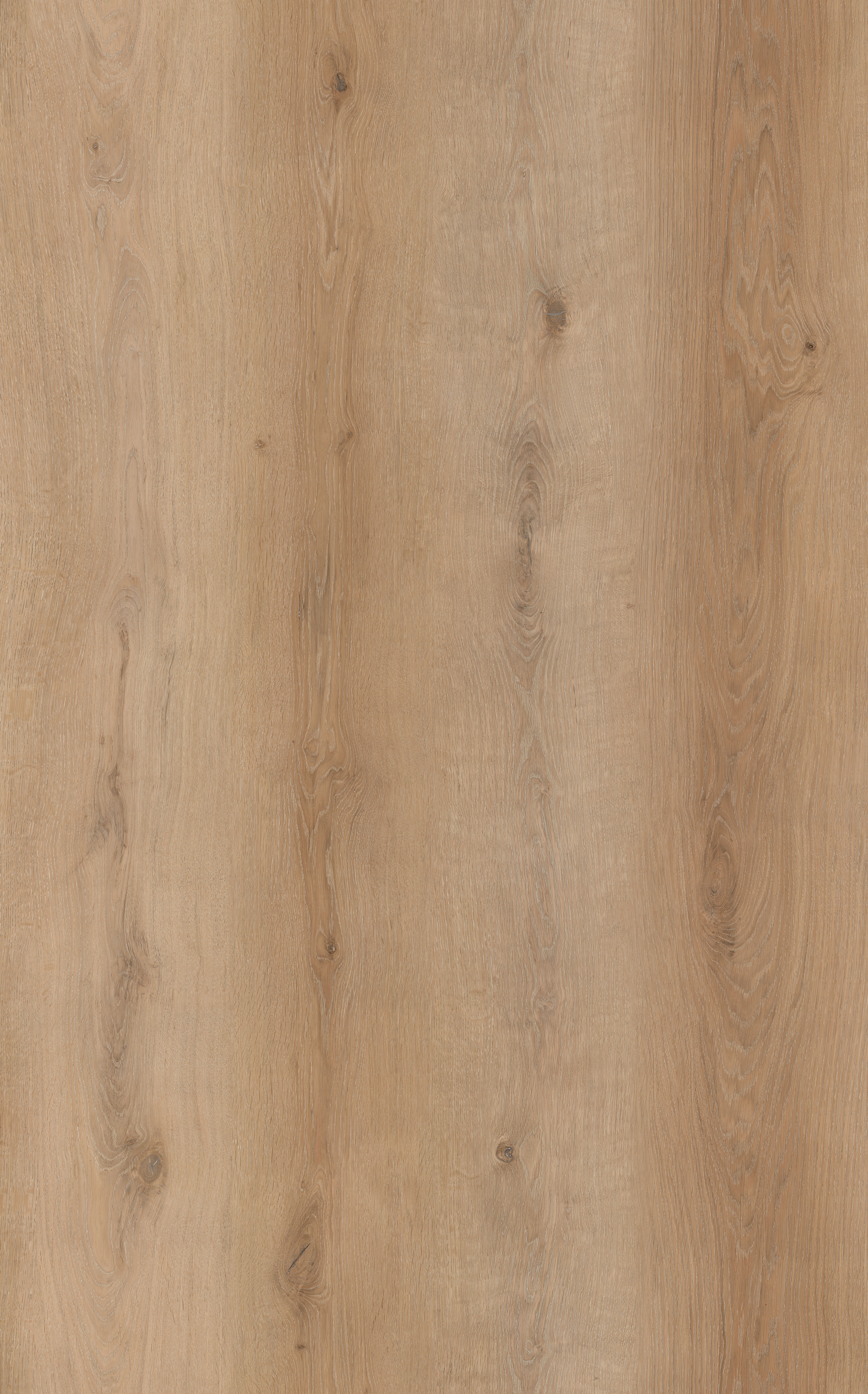 Rhino Rigid Supreme : Timber Series : Bluff Oak (33001-1) 20mil w/Pad (33.12SF)