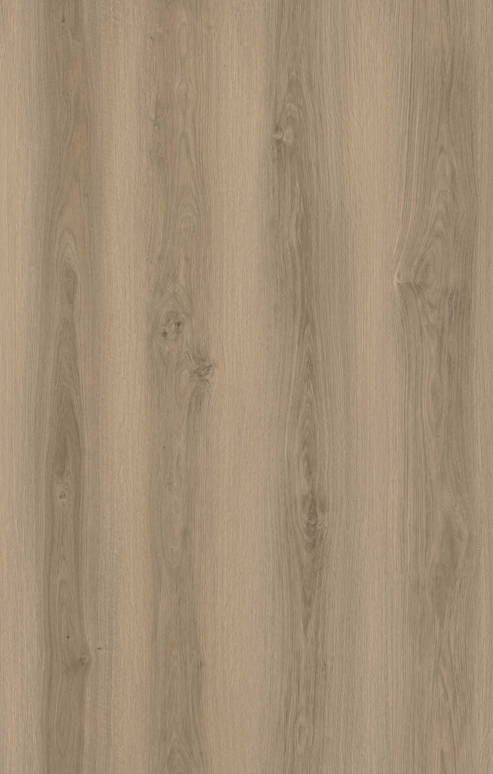 Rhino Rigid Supreme : Timber Series : Canyon Oak (2101-7) 20mil w/Pad (33.12SF)